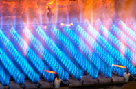 Taobh A Deas Loch Aineort gas fired boilers